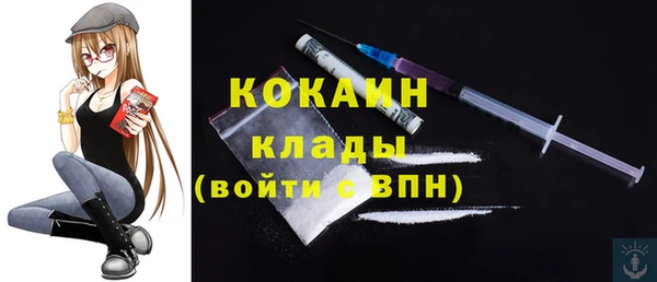 мяу мяу мука Аркадак