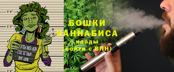 apvp Арсеньев